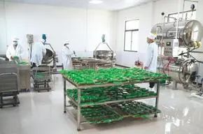 特色推薦 | 桐城碾玉峽黃栗豆腐 傳說、品鑒與限時秒殺